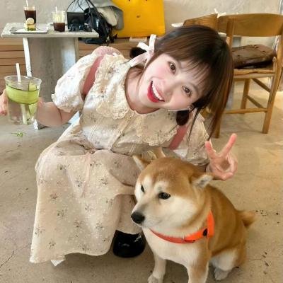 狗狗与我的十个约定